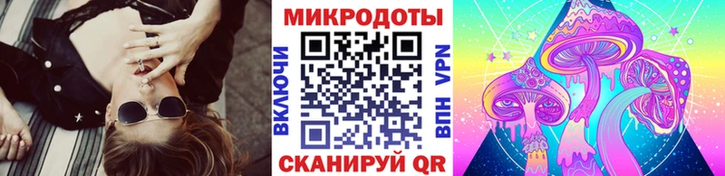 что такое наркотик  Андреаполь  Галлюциногенные грибы Psilocybe 